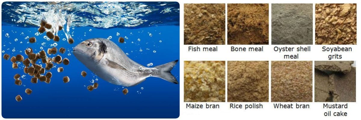 fish feed and materials