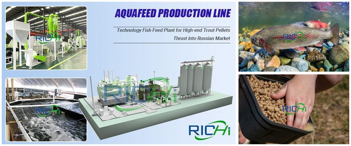 5-6TPH Fish Feed Mill Machine Design In Russia