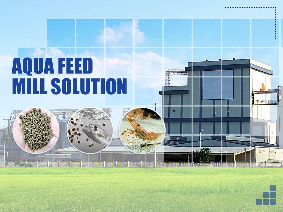 aqua fish shrimp feed processing solution