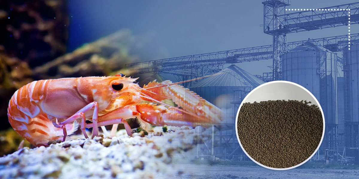 prawn pellets