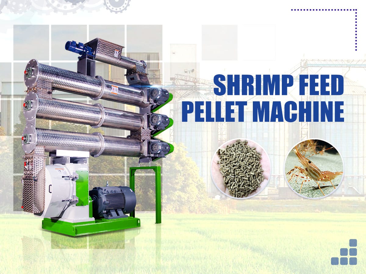 prawn shrimp feed pellet making machine factory