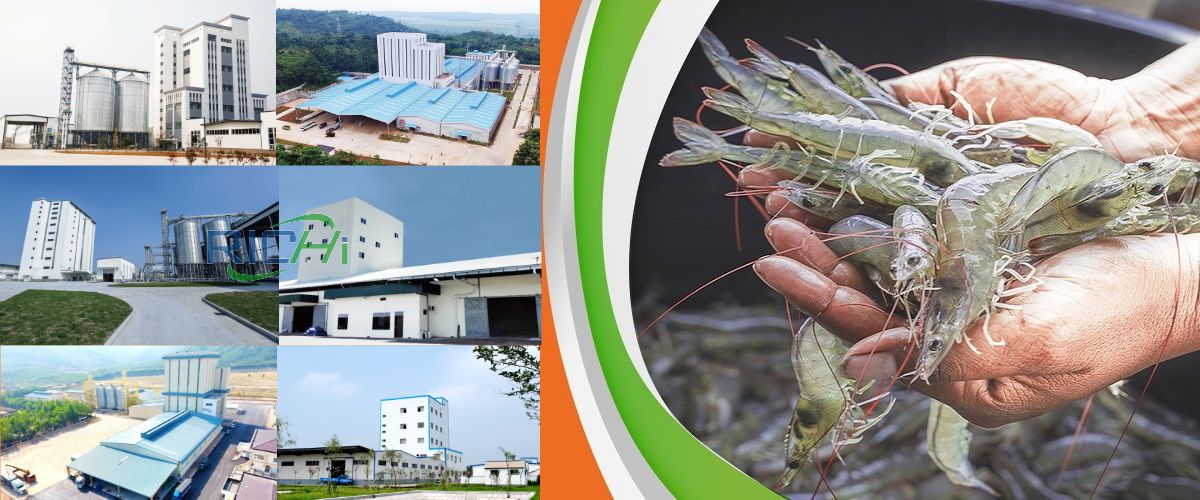 complete shrimp feed plant solution